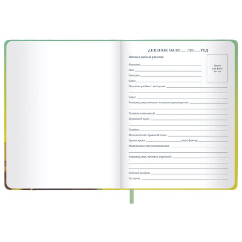 Картинка товара №5