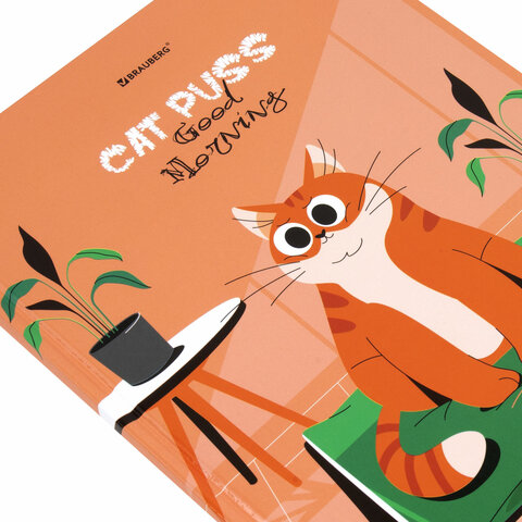 Картинка товара №3