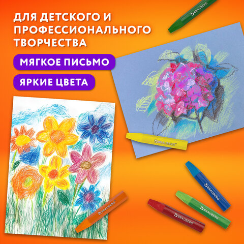 13_Мелки восковые (масляные пастель) 12цв BRAUBERG Premium, утолщенные