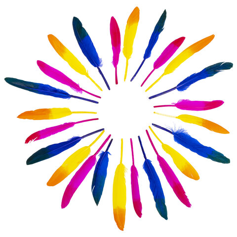 Картинка товара №5