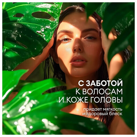 5_Шампунь 5л GRASS Sargan, канистра
