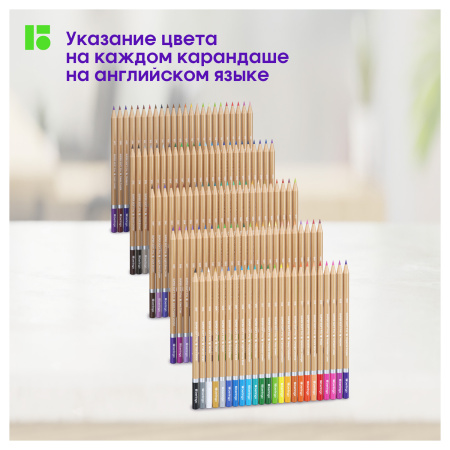 5_Карандаши цветные 120 цветов Berlingo SuperSoft. Pro