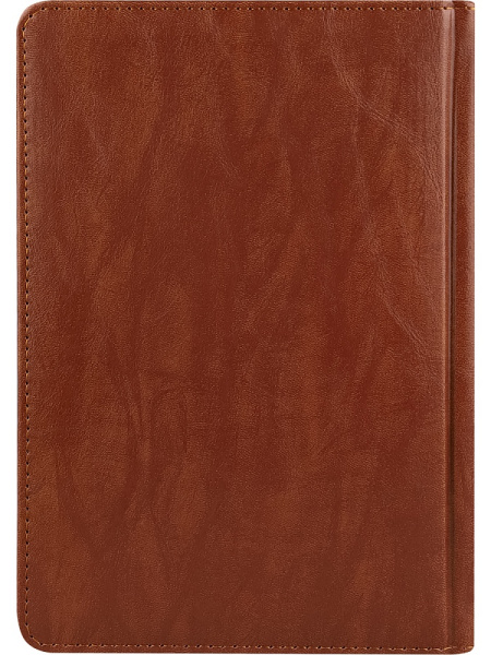 4_Ежедневник недатированный А5 PROF-PRESS Everyday Chronicles, под кожу, коричневый, 160л
