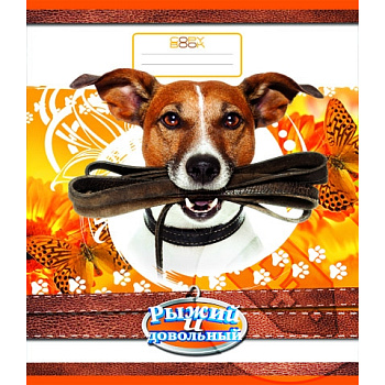 Тетрадь 24л линия Рыжий и довольный