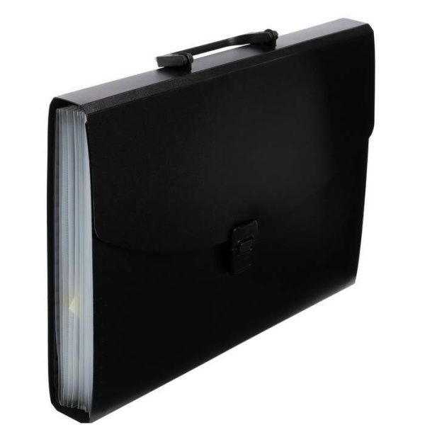 4_Портфель пластиковый A4 13 отделений, Calligrata, пластик 0,7мм, черный