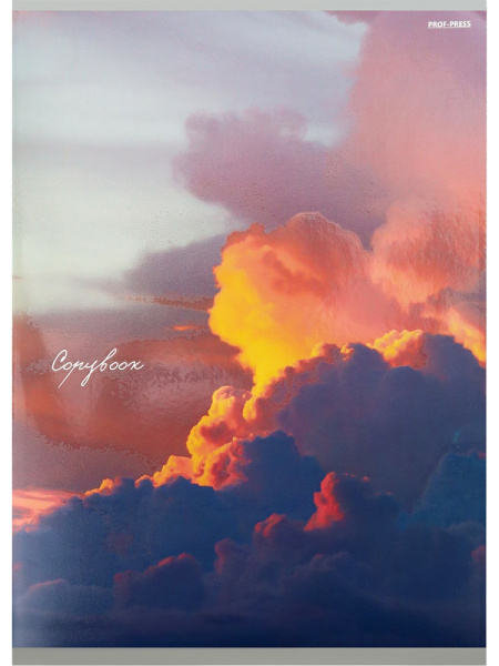 Тетрадь А4 96л клетка, скоба PROF-PRESS Закатные облака