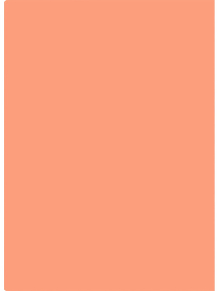 2_Папка-уголок A4 0,18мм, плотный пластик PROF-PRESS, персиковая