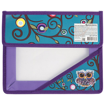 Папка на липучке A5 235*190мм BRAUBERG Филин