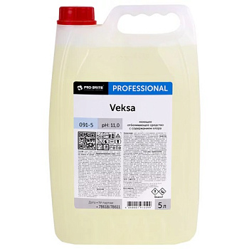 Средство для уборки санитарных помещений 5л, PRO-BRITE Veksa, щелочное, концентрат