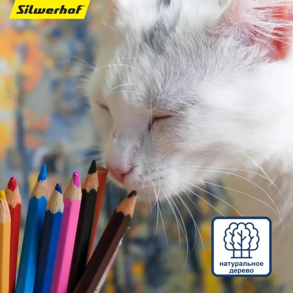 10_Карандаши цветные 18 цветов SILWERHOF Centrum