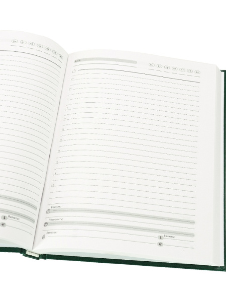 3_Ежедневник недатированный А5 PROF-PRESS, бумвинил, зеленый, 128л