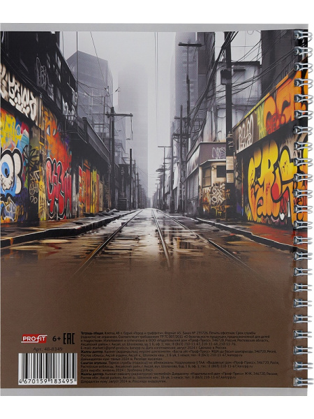5_Тетрадь А5 48л клетка, гребень PROFIT Город и граффити, ассорти