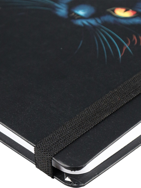 5_Ежедневник недатированный А5 COLLEZIONE Кот с желтыми глазами, матовая ламинация, 128л