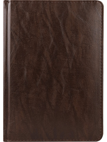 7_Ежедневник недатированный А5 PROF-PRESS Everyday Chronicles, под кожу, темно-коричневый, 160л