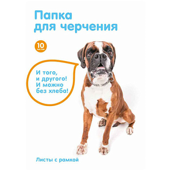 Папка д/черчения А4 10л с рамкой №1School animals