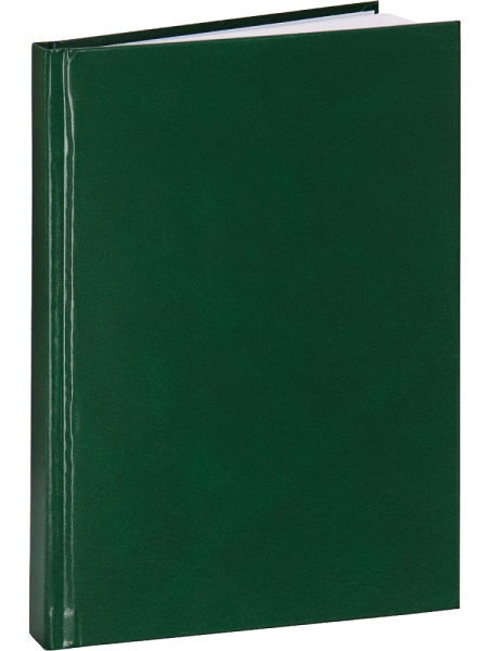 2_Ежедневник недатированный А5 PROF-PRESS, бумвинил, зеленый, 128л