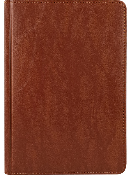 7_Ежедневник недатированный А5 PROF-PRESS Everyday Chronicles, под кожу, коричневый, 160л
