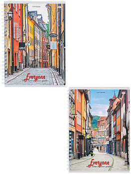 Тетрадь А5 96л клетка, гребень PROF-PRESS Узкая мостовая, ассорти