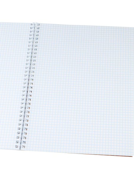 3_Тетрадь А4 96л клетка, гребень PROF-PRESS Тематика граффити