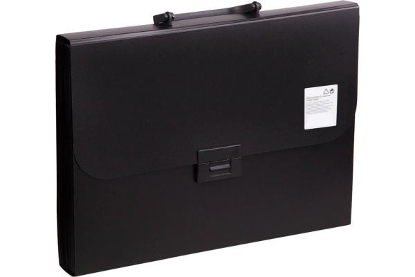 Портфель пластиковый A4 13 отделений, Calligrata, пластик 0,7мм, черный