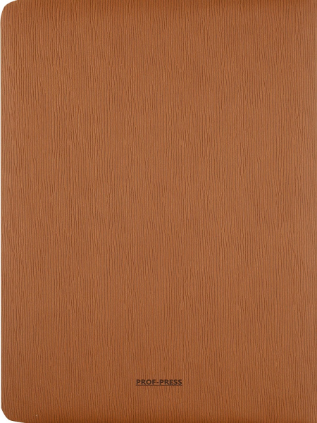 6_Ежедневник недатированный А5 PROF-PRESS Coffee Line, под кожу, коричневый 136л