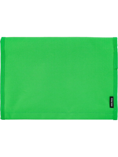 2_Папка на липучке для труда А4 PROF-PRESS Зеленый мяч, ткань