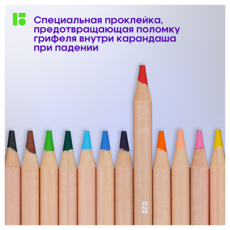 2_Карандаши цветные 120 цветов Berlingo SuperSoft. Pro