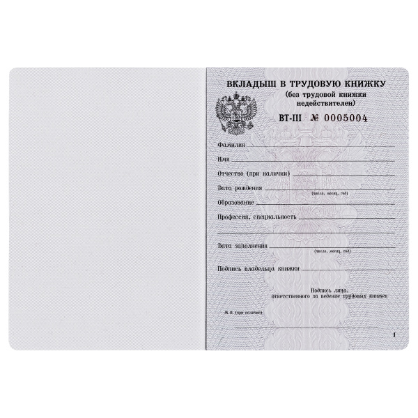 2_Бланк документа Вкладыш в трудовую книжку, 88_125мм 18л, ГОЗНАК (новый 2023г) Рельеф