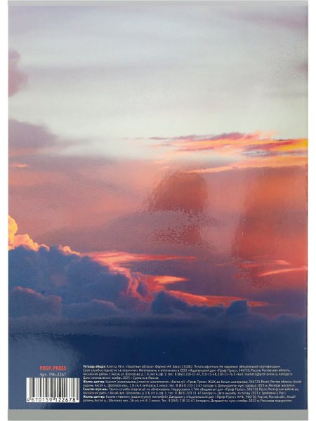 3_Тетрадь А4 96л клетка, скоба PROF-PRESS Закатные облака