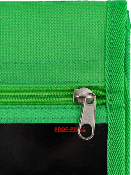 4_Папка на липучке для труда А4 PROF-PRESS Зеленый мяч, ткань