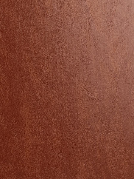 5_Ежедневник недатированный А5 PROF-PRESS Everyday Chronicles, под кожу, коричневый, 160л