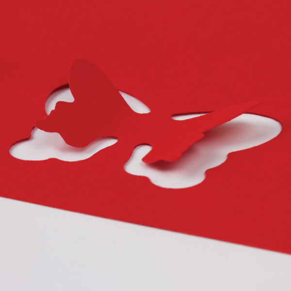 Картинка товара №5