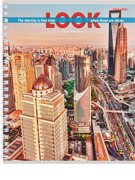 3_Тетрадь А5 48л клетка, гребень PROF-PRESS Вид на мегаполисы, ассорти