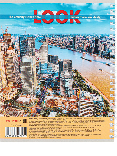 2_Тетрадь А5 48л клетка, гребень PROF-PRESS Вид на мегаполисы, ассорти