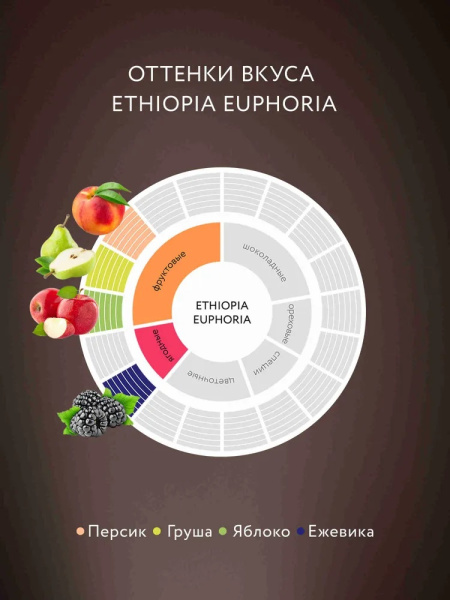 3_Кофе в зернах 1000гр JARDIN Ethiopia Euphoria (Эфиопия Эйфория) №3