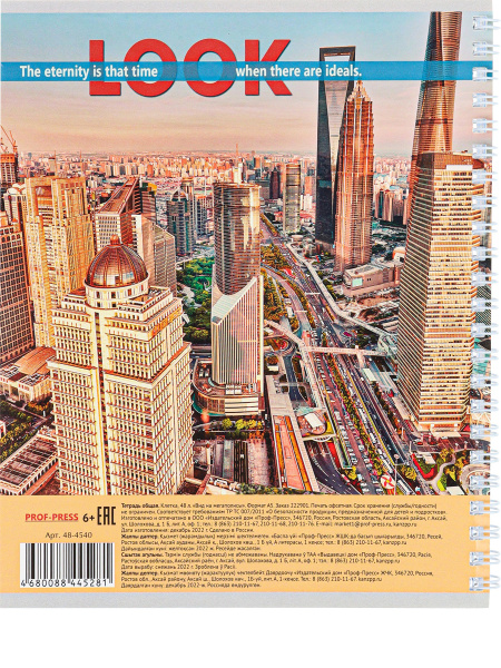 4_Тетрадь А5 48л клетка, гребень PROF-PRESS Вид на мегаполисы, ассорти