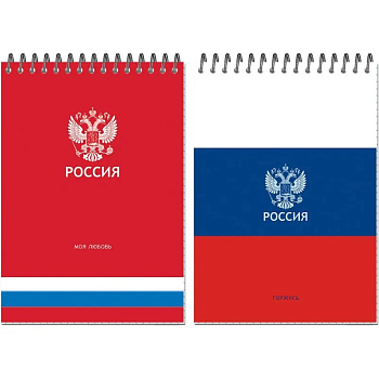 Блокнот А5 50л клетка, спираль Россия, ассорти