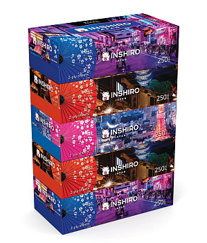 Салфетки-выдергушки бумажные 250шт двухслойные INSHIRO City, ассорти