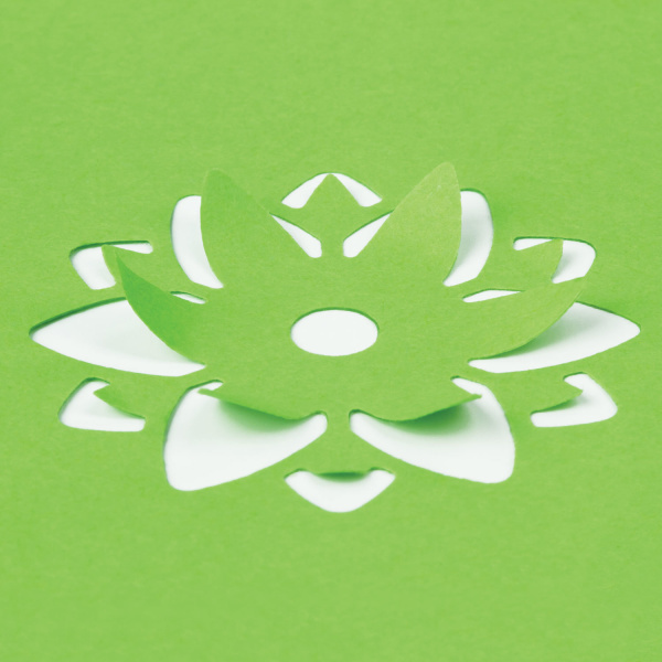 Картинка товара №5