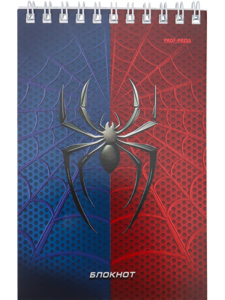 5_Блокнот А6 40л клетка, гребень PROF-PRESS Спайдер синий, ассорти